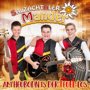 Download track Kein Eis - Kein Schnee Salzachtaler Mander