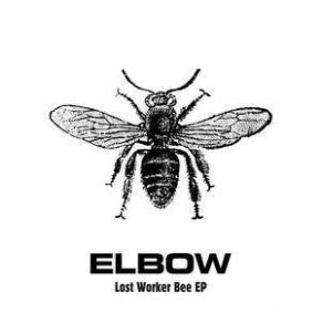 Download track Roll Call Elbow