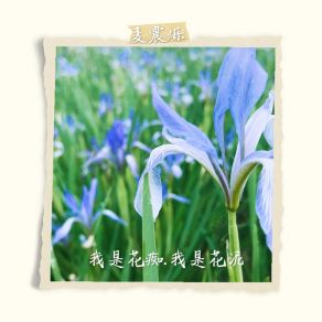 Download track 我是花痴，我是花泥 (伴奏) 麦震烁