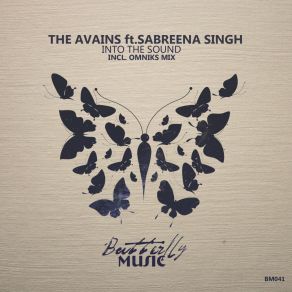 Download track Into The Sound (Omniks Dub Remix) Sabreena Singh