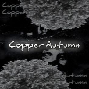 Download track Copper Autumn (Instrumental) QooriThe Instrumental