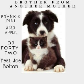 Download track Brother From Another Mother (Radio Edit) Joe Bolton