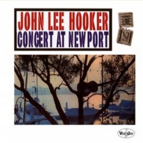 Download track Boom Boom Boom, Talk That Talk (Medley) John Lee Hooker