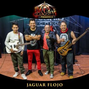 Download track Tiempo De Recuerdos Jaguar Flojo