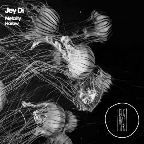 Download track Metality (Original Mix) Jey Di