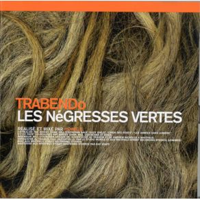 Download track Leila Les Negresses Vertes, Howie B.