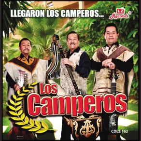 Download track Sufro Tu Ausencia Los Camperos