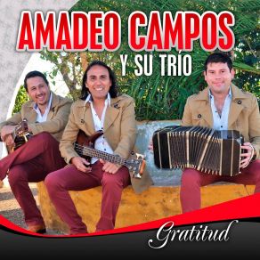 Download track El Jardín De Mis Ensueños Amadeo Campos