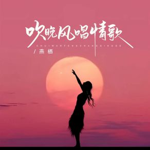 Download track 吹晚风唱情歌 (DJ沈念版) 沈念