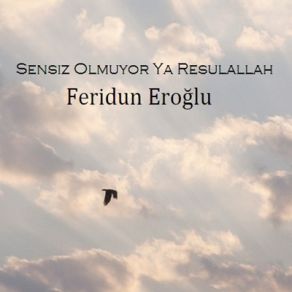 Download track Medine Feridun Eroğlu