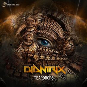 Download track Insider (Djantrix Remix) Imaginarium, Djantrix