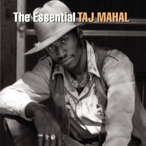 Download track Everybody Is Somebody Taj Mahal