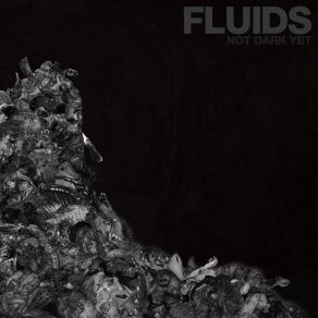 Download track Life Spent The Fluids