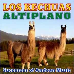 Download track La Diablesa Los Kechuas