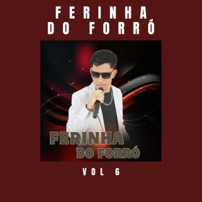 Download track Por Isso Eu Vou Voar Voar (Cover) FERINHA DO FORRÓ OFICIAL