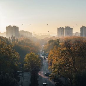 Download track Oleaje Rítmico Recarga De La Tarde