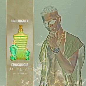 Download track Tu Lo Mueves Un Linguee