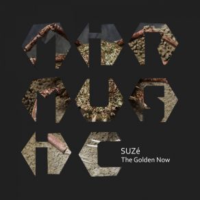 Download track Ghosting (Original Mix) Suze