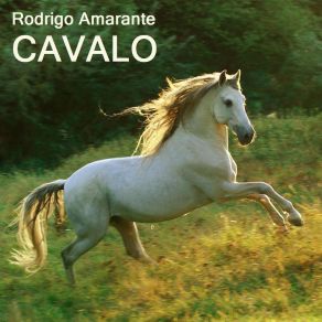 Download track Cavalo Rodrigo Amarante