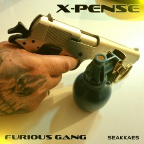 Download track Furious Gang Edit X-Pense