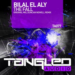 Download track The Fall (Duncan Newell Radio Edit) Bilal El Aly