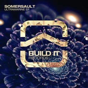 Download track The Plunge (Original Mix) Somersault