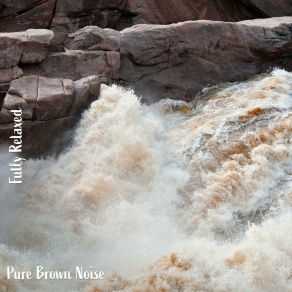 Download track Pure Brown Noise, Pt. 13 Steve Brassel