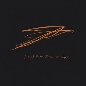 Download track Pulaski At Night Andrew Bird