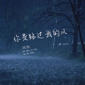 Download track 你是路过我的风 Liu Jun