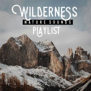 Download track Daydreaming Echoes Of Nature