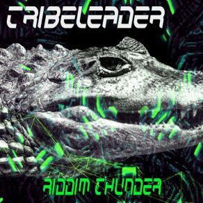 Download track Riddim 2 (Edit) Tribeleader