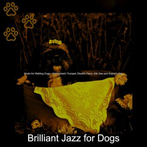 Download track Smooth Well Behaved Dogs Brilliant Jazz For Dogs