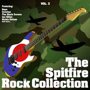 Download track Thick N Thin The Spitfire Rock CollectionThe Black Crowes