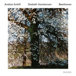 Download track Diabelli-Variationen, Op. 120: Var. XXVIII. Allegro (Bechstein Piano) András Schiff