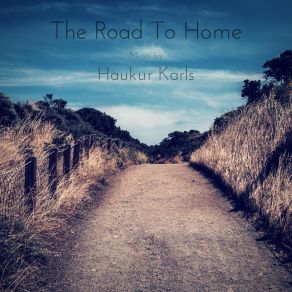 Download track Solitude Haukur Karls