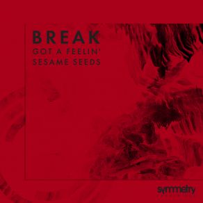 Download track Got A Feelin' (Original Mix) The Break