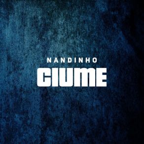 Download track Ciume Nandinho