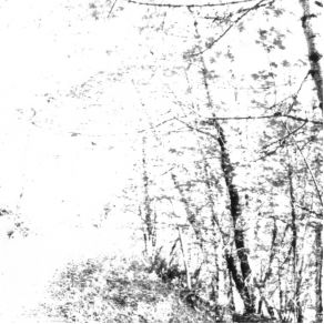 Download track Birch Black Agalloch