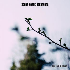 Download track Stone Heart Strangers Life Lost In Colours