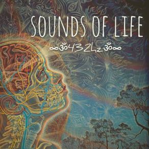 Download track Idunwanasay Byetou Sounds Of Life