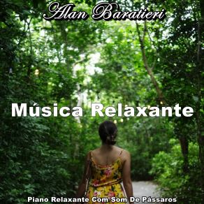 Download track Tranquilidade Alan Baratieri