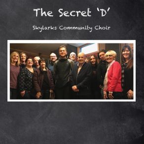 Download track I Can Feel The Sun Skylarks Community Choir