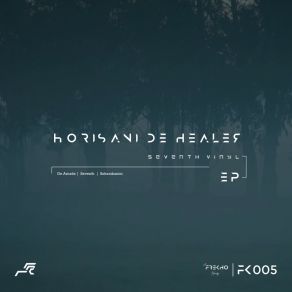 Download track Sohambanini Horisani De Healer