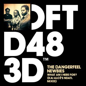 Download track What Am I Here For (Original NDATL Vocal) The DangerFeel Newbies