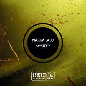 Download track Visitors (Original Mix) Nacim Ladj