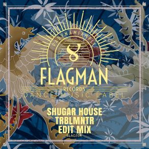 Download track Trblmntr (Edit Mix) Shugar House