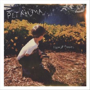 Download track Poppies Petaluma