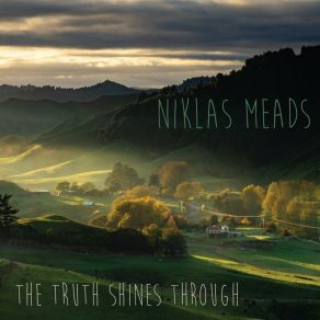 Download track Wrong Niklas Meads