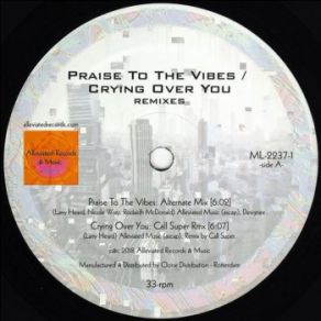 Download track Praise To The Vibes (Mr. Fingers Alternate Version) Mr. Fingers