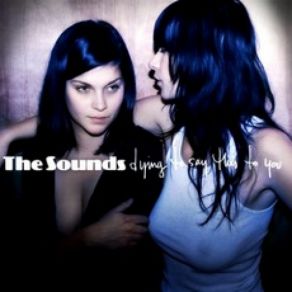 Download track Rock 'N' Roll The Sounds